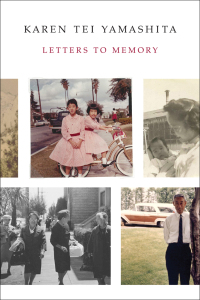 Cover image: Letters to Memory 9781566894876