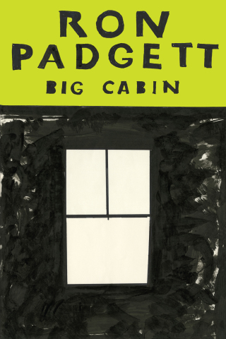 Cover image: Big Cabin 9781566895491