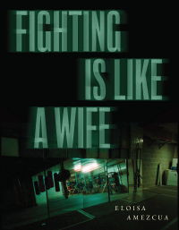 صورة الغلاف: Fighting Is Like a Wife 9781566896344