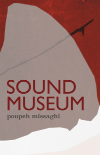 表紙画像: Sound Museum 9781566896993