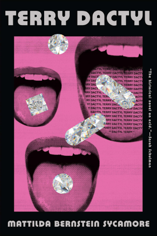 Cover image: Terry Dactyl 9781566897419