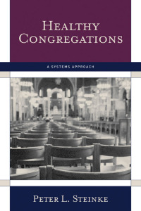 Cover image: Healthy Congregations 9781566993302