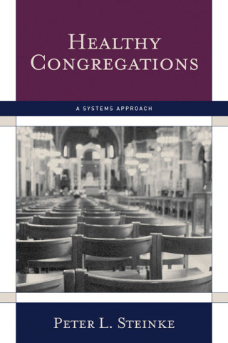 Cover image: Healthy Congregations 1st edition 9781566993302