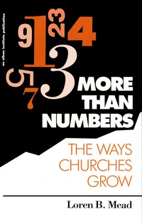 Cover image: More Than Numbers 9781566991094