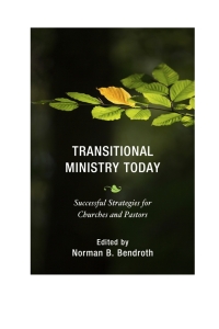 Titelbild: Transitional Ministry Today 9781566997508