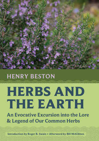 表紙画像: Herbs and the Earth 9781567927733
