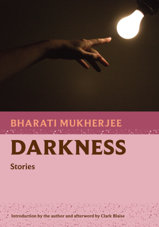 Imagen de portada: Darkness 9781567927467