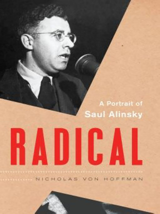 Cover image: Radical 9781568586250
