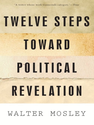 Cover image: Twelve Steps Toward Political Revelation 1st edition 9781568586427