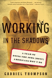 Cover image: Working in the Shadows 9781568586991