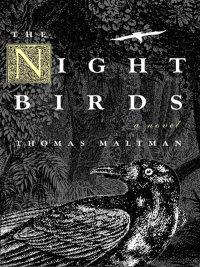 Immagine di copertina: The Night Birds 9781569475027