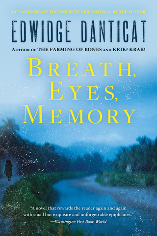 Cover image: Breath, Eyes, Memory 9781569471425