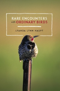 Cover image: Rare Encounters with Ordinary Birds 9781570614194