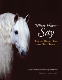表紙画像: What Horses Say 9781570762765