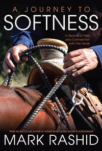 Cover image: A Journey to Softness 9781570767586