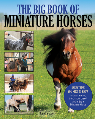 表紙画像: Big Book of Miniature Horses 9781570768200