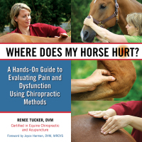 صورة الغلاف: Where Does My Horse Hurt? 9781570764868