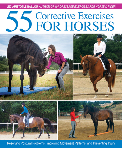 55 Corrective Exercises for Horses : Resolving Postural Problems, Improving Movement Patterns, and Preventing Injury - FULL INSTANT DOWNLOAD | PDF DOCX EPUB