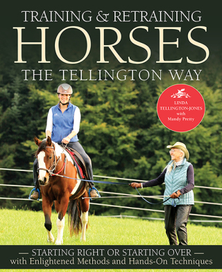 Cover image: Training and Retraining Horses the Tellington Way 9781570769375