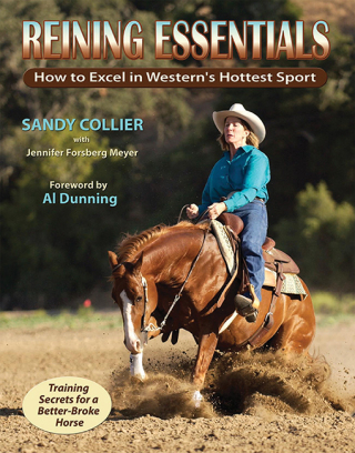 Cover image: Reining Essentials 9781570764073