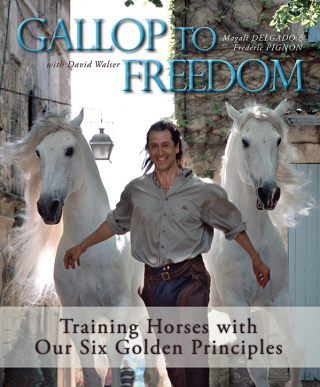 Omslagafbeelding: Gallop to Freedom 9781570767258