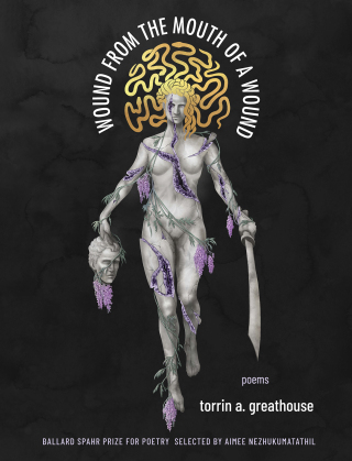 Titelbild: Wound from the Mouth of a Wound 9781571315274