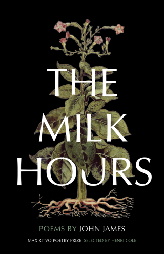 Imagen de portada: The Milk Hours 9781571315083