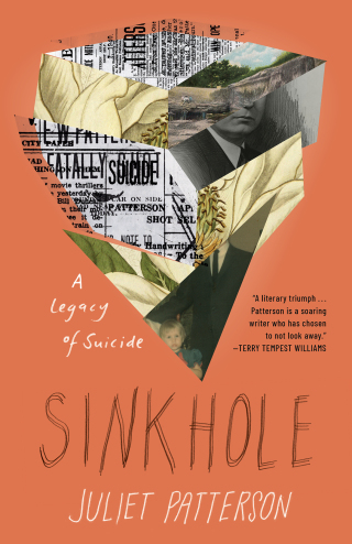 Imagen de portada: Sinkhole 9781571317476