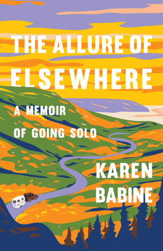 Cover image: The Allure of Elsewhere 9781571311825