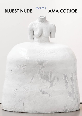 Imagen de portada: Bluest Nude 9781571315427
