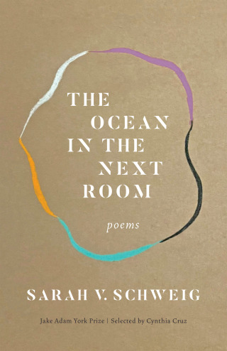 Omslagafbeelding: The Ocean in the Next Room 9781571315632
