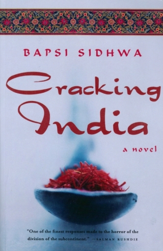 Cover image: Cracking India 9781571310484