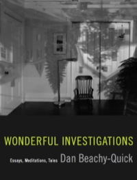 Titelbild: Wonderful Investigations 9781571313270