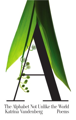 Cover image: The Alphabet Not Unlike the World 9781571314468