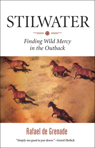 Imagen de portada: Stilwater 9781571313140