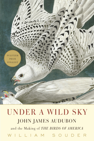 Imagen de portada: Under a Wild Sky 9781571313553