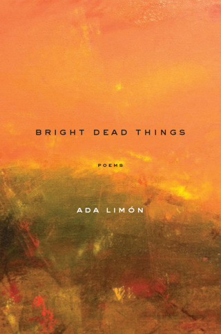 Imagen de portada: Bright Dead Things 9781571314710