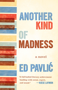 Cover image: Another Kind of Madness 9781571311283