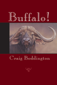 Cover image: Buffalo! 9781571573544