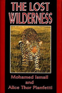 Cover image: The Lost Wilderness 9781571571731