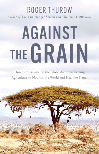 صورة الغلاف: Against the Grain 9781572843400