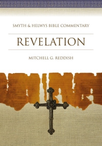 Cover image: Revelation 1st edition 9781573120871