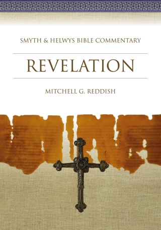 Imagen de portada: Revelation 1st edition 9781573120871
