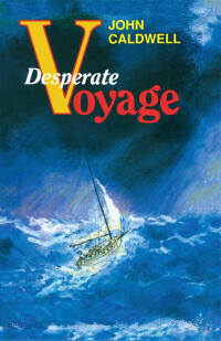 Cover image: Desperate Voyage 9781493049363