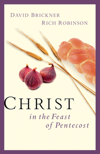 Cover image: Christ in the Feast of Pentecost 9780802414021