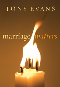 Cover image: Marriage Matters 9780802423252