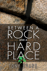 Cover image: Between a Rock and a Hard Place 9780802423269
