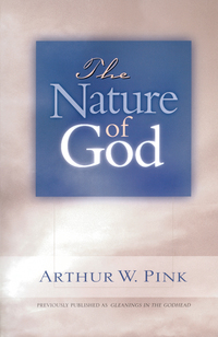 Imagen de portada: The Nature of God 9780802465719