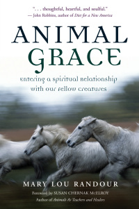 Cover image: Animal Grace 9781577312253