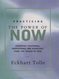 Cover image: Practicing the Power of Now 9781577311959